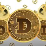 Dogecoin的高中心化水平不会阻止DOGE价格冲击1美元-圈小蛙