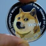 “狗狗币”（Dogecoin）是目前在美国最多州搜索次数最多的加密货币-圈小蛙