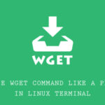 Windows如何安装wget？Win10如何使用wget？-圈小蛙