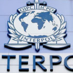 国际刑警组织领导的行动摧毁“黑斧”网络犯罪组织-圈小蛙