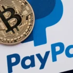 PayPal推出新的美元稳定币PYUSD用于支付-圈小蛙